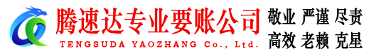 嘉鱼收账公司